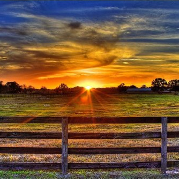 Meet your Posher, Alisha - Picture 1 of 1